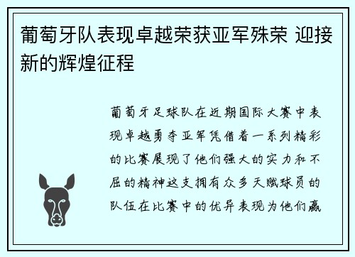 葡萄牙队表现卓越荣获亚军殊荣 迎接新的辉煌征程