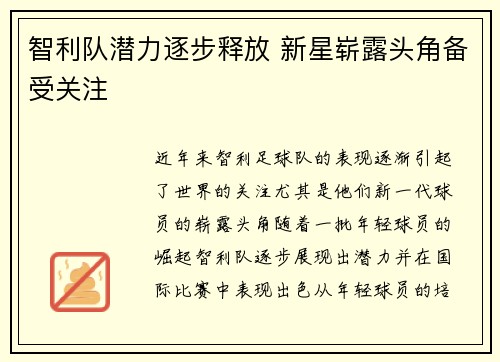 智利队潜力逐步释放 新星崭露头角备受关注